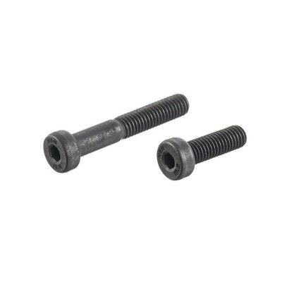 Maple Leaf Strengthen Screw for DT-M40 / DSR40 / VSR10